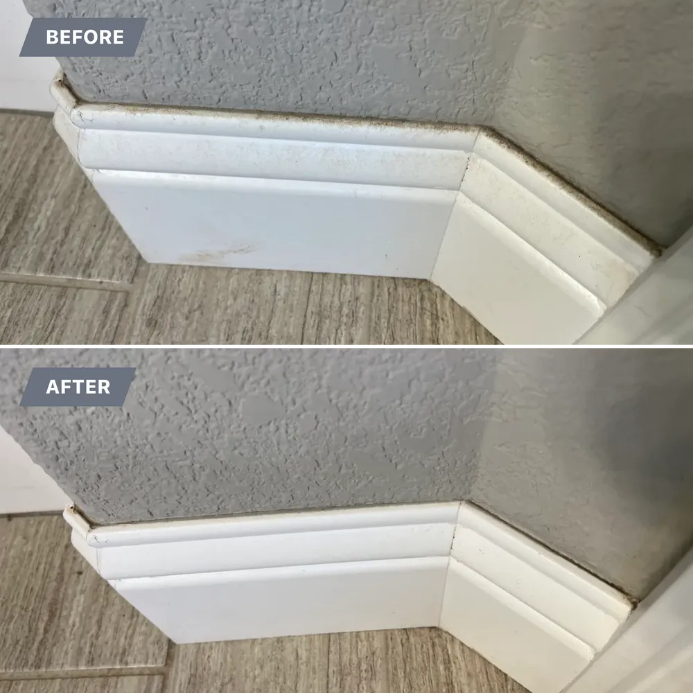 BaseBoard